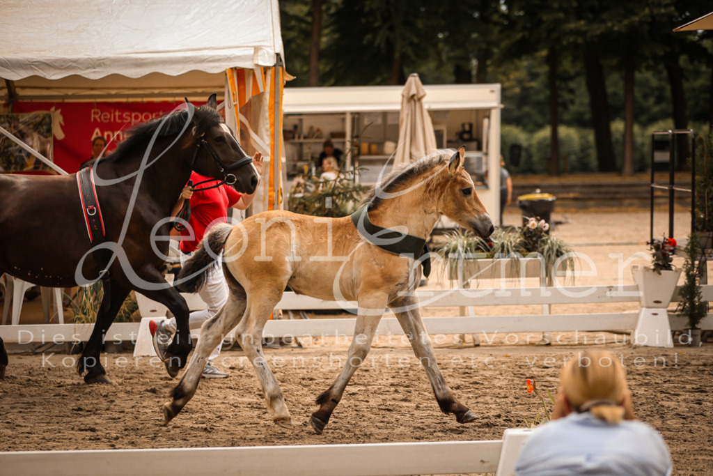 SaSF00174 | Leoni Ertmer Photography - Realisiert mit Pictrs.com