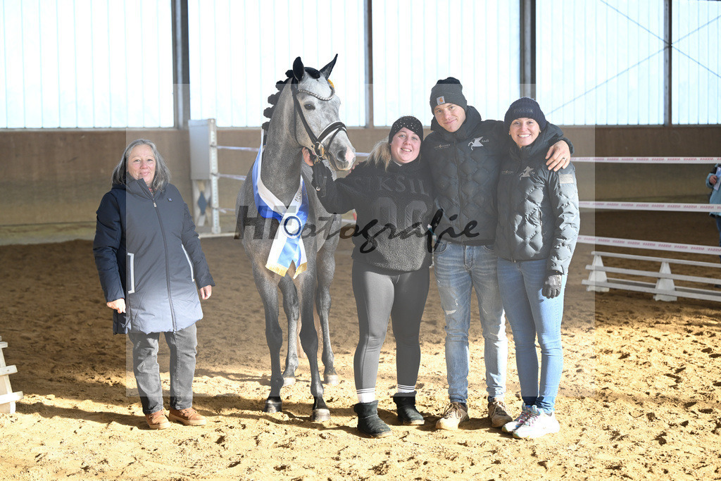 Kat-Nr. 3 Golden Diamond K v. GoldenGray_Koldas_49250256 | hf-fotografie - Realisiert mit Pictrs.com