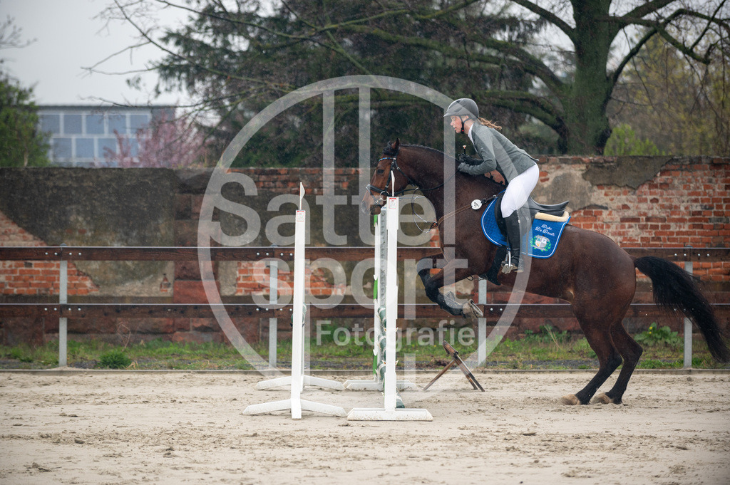 DSC_8685 | sattelsport - Realisiert mit Pictrs.com