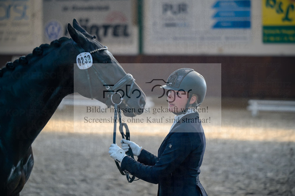 Reitturnier Voxtrup | Entdecke hochwertige Reitturnierfotos von Foto Oger. Professionell, emotional und authentisch – jetzt Lieblingsmomente im Shop bestellen.Deutschlandweite Turnierfotografie. - Realisiert mit Pictrs.com