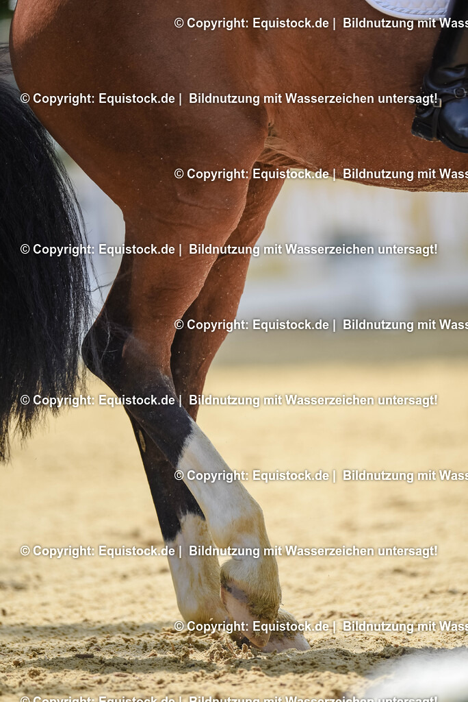 20250607_1_GP-Tour_Dressage_0172 | Foto: Thomas Hartig