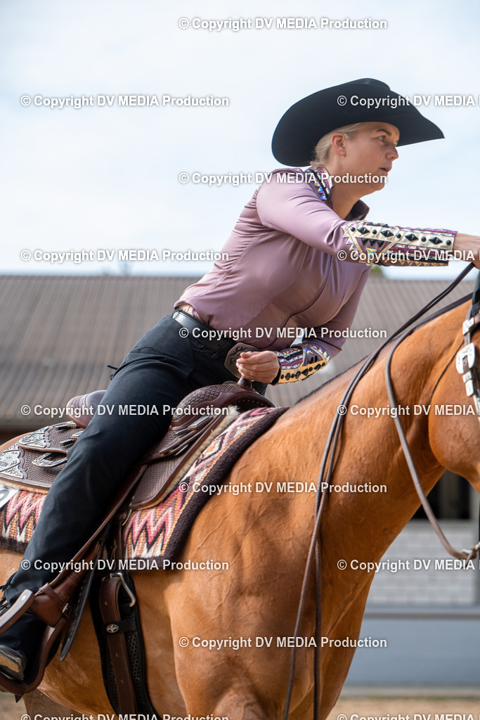 EWP_5712 | dv-media-shop - Realisiert mit Pictrs.com