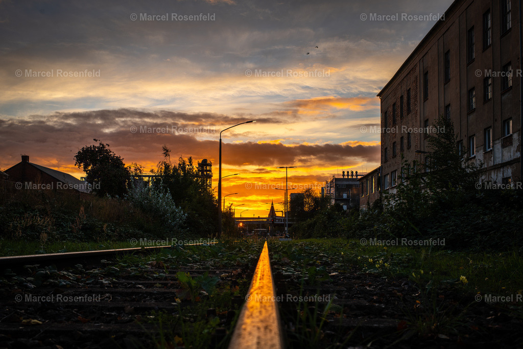 _DSC3961-HDR | foto-rosenfeld