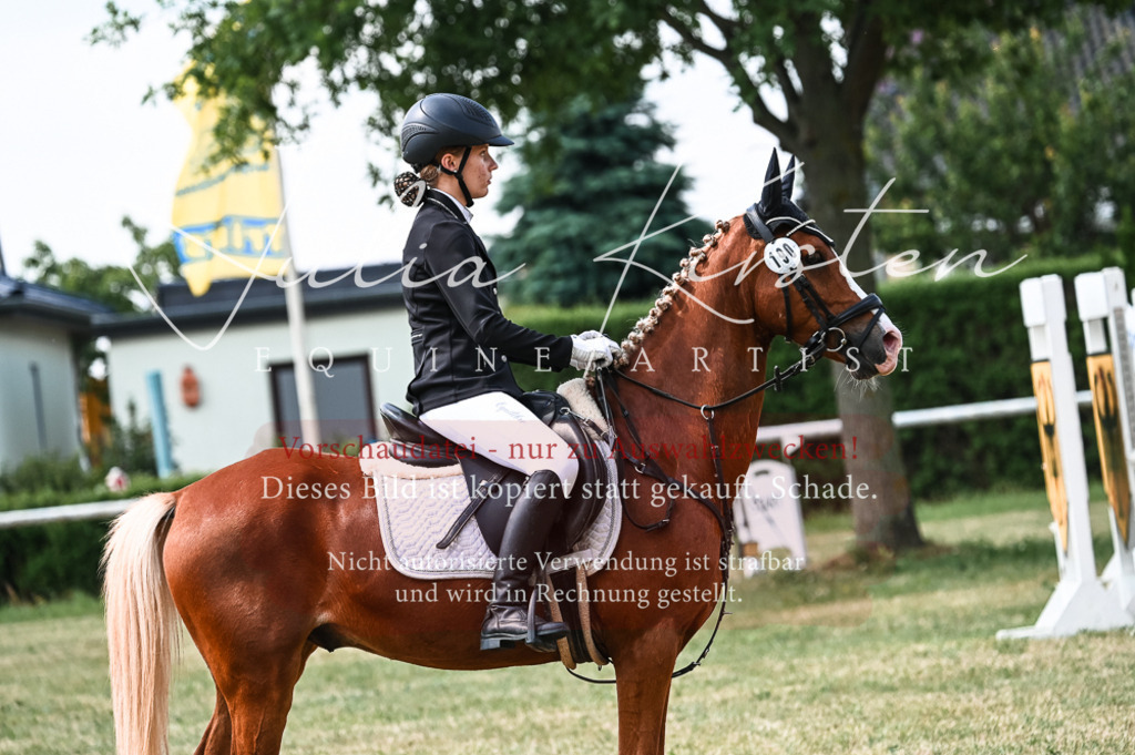 DSC_8714 | Pferde- und Turnierfotografie in Westsachsen. Pferdeportraits, Auftragszeichnungen und intuitive Kunst.