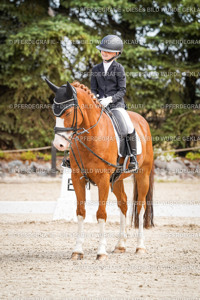 DSC02618 | Pferdegrafie