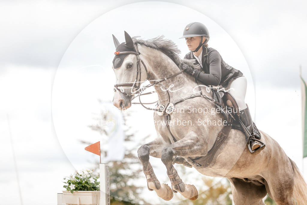 3I6A8634 | Stimmungsvolle Portraits und Reitsportfotografie im Ruhrgebiet und im Münsterland.

Pferdefotografie, Hundefotografie, Tierfotografie, Reportagen, Portraits von Tier und Mensch, Turnierfotografie in Bochum, Recklinghausen, Marl, Haltern am See, Dülmen.. - Realisiert mit Pictrs.com