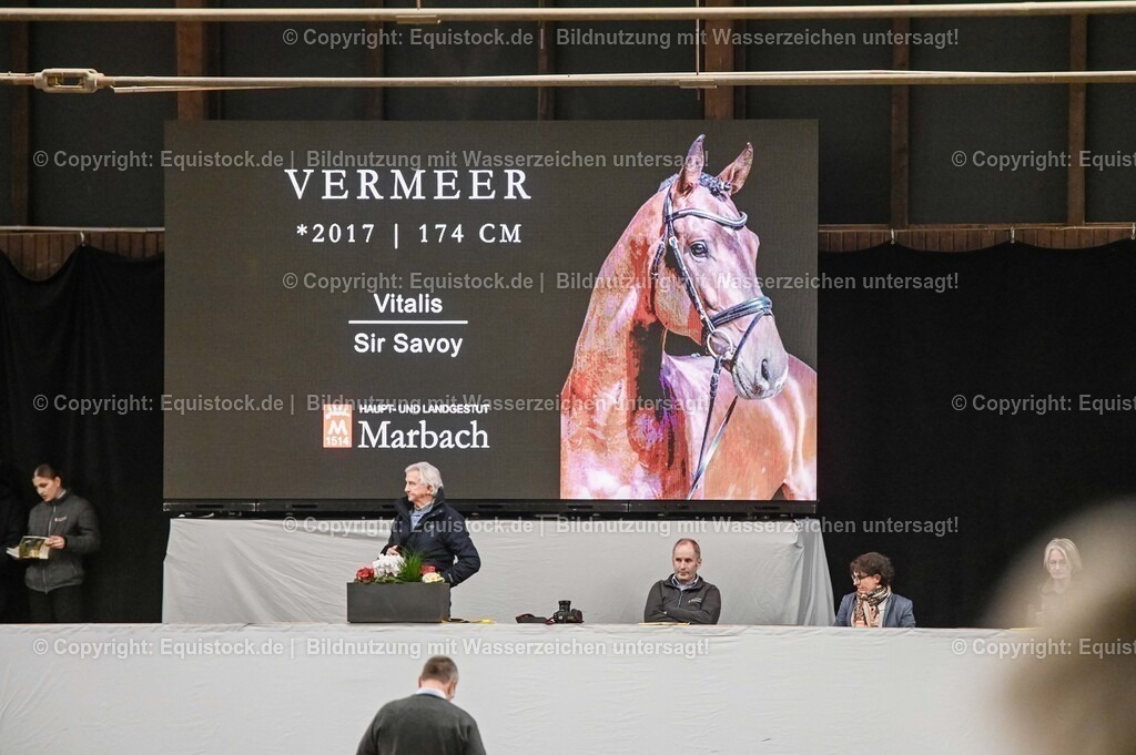 20260307_Hengstvorstellung-Marbach_0333 | equistock