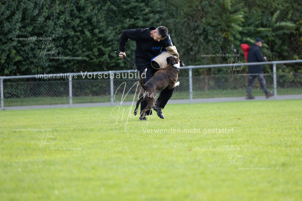 _16A6522 | Einzigartige Fotos von Hunden & Menschen –Actionfotos, Portraits, Vereinsaufnahmen & Paarshootings – authentisch, lebendig & mit Herz.