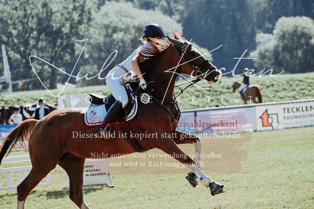 DSC_5612 | Pferde- und Turnierfotografie in Westsachsen. Pferdeportraits, Auftragszeichnungen und intuitive Kunst.