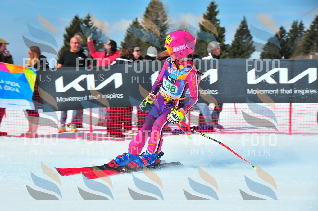 DSC_1277 | holidayphoto