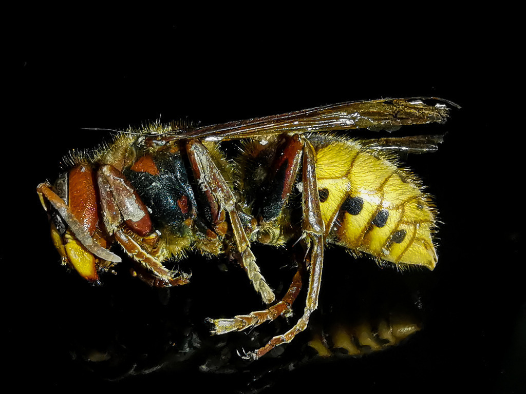 PSX_20230908_222039 | mtkfoto_ - Realisiert mit Pictrs.com