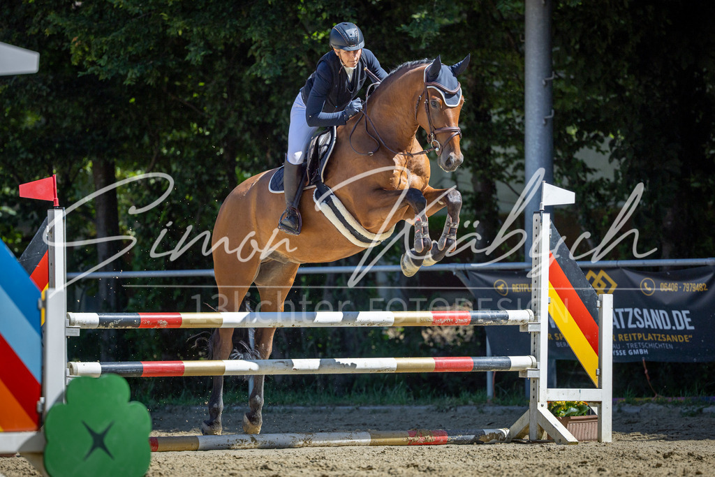 20260704-_3LI7814 | Tierfotografie Pferde, Hunde, Katzen, Haustiere.
Turnierfotografie Reitturniere, Reiten, Springreiten, Dressur in Hanau, dem Main-Kinzig-Kreis und dem Rhein-Main- Gebiet um Frankfurt