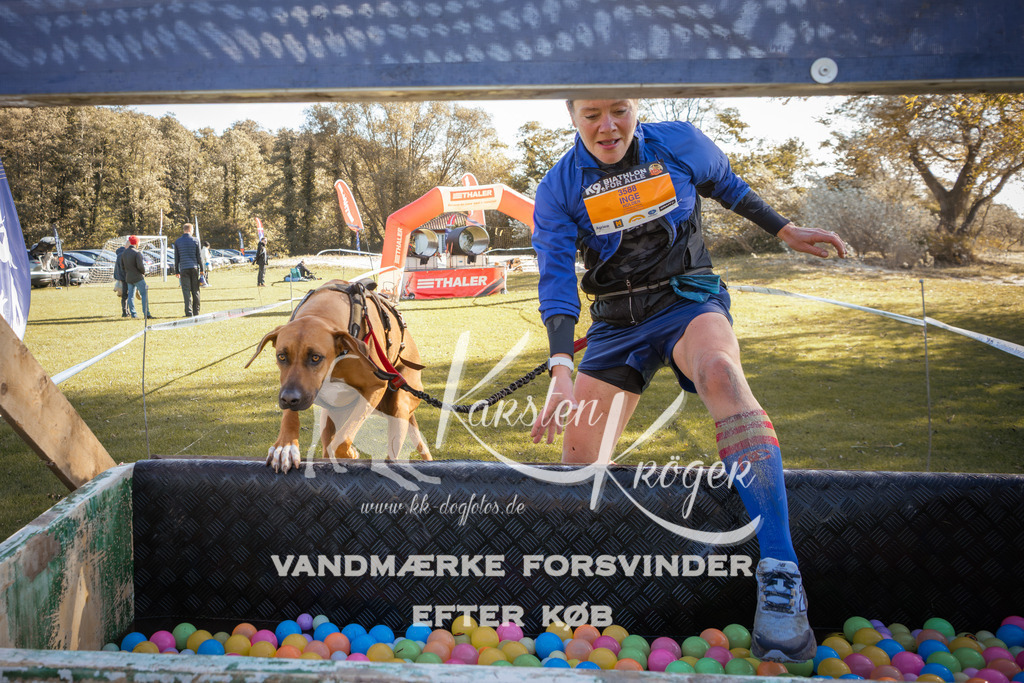1228_ZZ96528-2 | kk-dogfotos