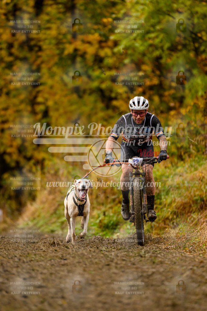 MompixPhotography_ICF_WC_2024_SA_Bike_-58 | PayLife