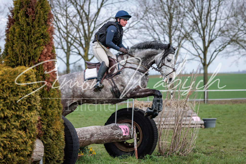 20260329-_3LI4219 | Tierfotografie Pferde, Hunde, Katzen, Haustiere.
Turnierfotografie Reitturniere, Reiten, Springreiten, Dressur in Hanau, dem Main-Kinzig-Kreis und dem Rhein-Main- Gebiet um Frankfurt
