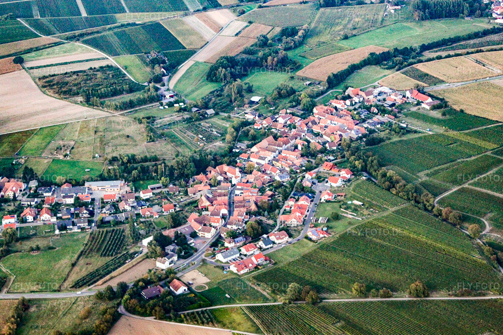 Luftbild: Dorfansicht von Süden in Oberhausen im Bundesland Rheinland-Pfalz in Deutschland. Foto: IMG_21324.jpg vom 23.09.2009 durch Werner Riehm/FLY-FOTO.de
