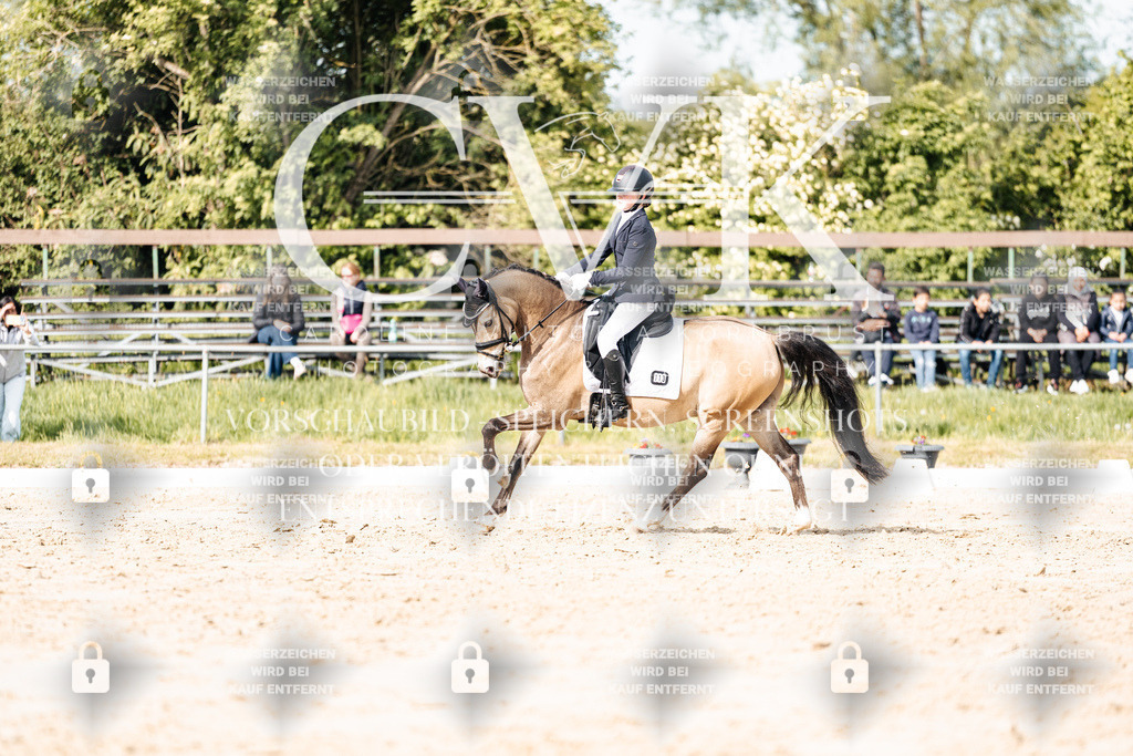CK900462 | Turnierfotografie Pferdefotografie Trier Rheinland-Pfalz Pferdesport Reitsport Tierfotografie Sportfotografie Pferdevideo Pferdevideografie Equestrianvideography equestrianphotography  - Realisiert mit Pictrs.com