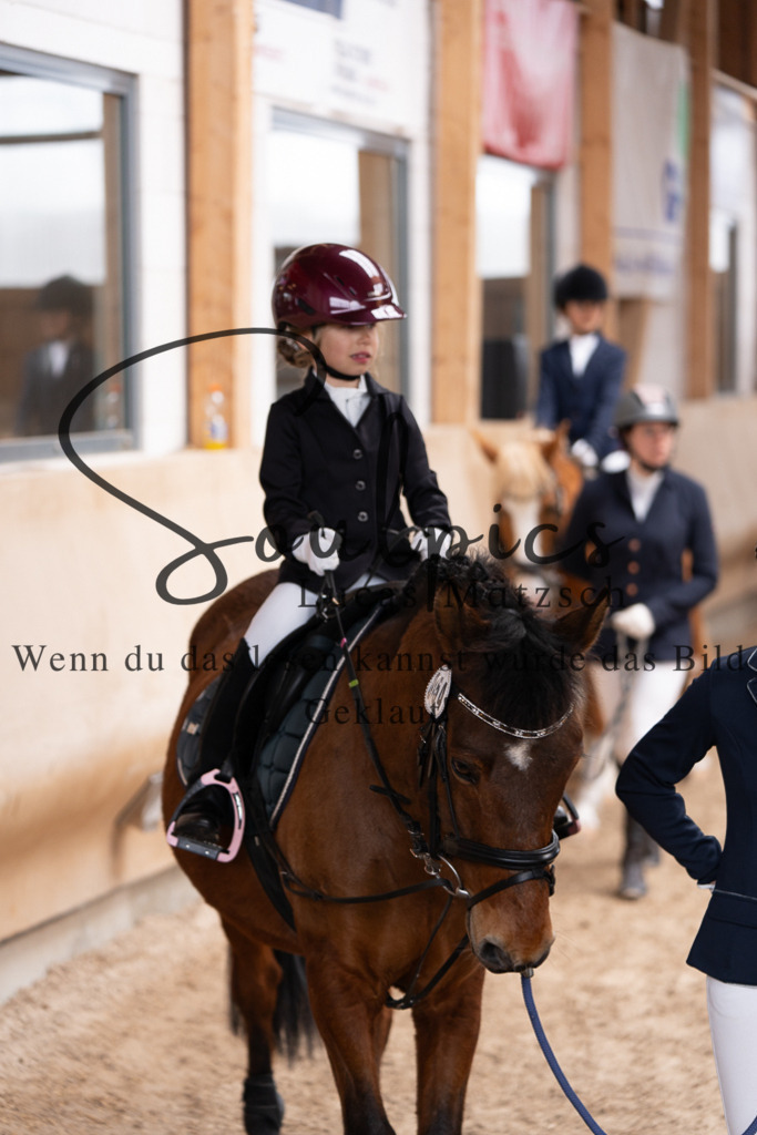 A7507268 | Pferdefotograf