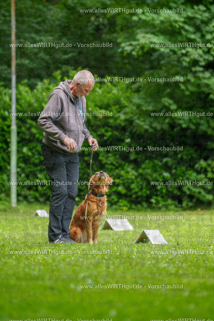 @allesWIRTHgut_Tierfotografie - www.allesWIRTHgut.de - 125611-7R509561 | Professionelle Tierfotografie in Mönchengladbach von Daniel Wirth (allesWIRTHgut). Liebevolle & natürliche Bilder von Hunden & Katzen für unvergessliche Erinnerungen.