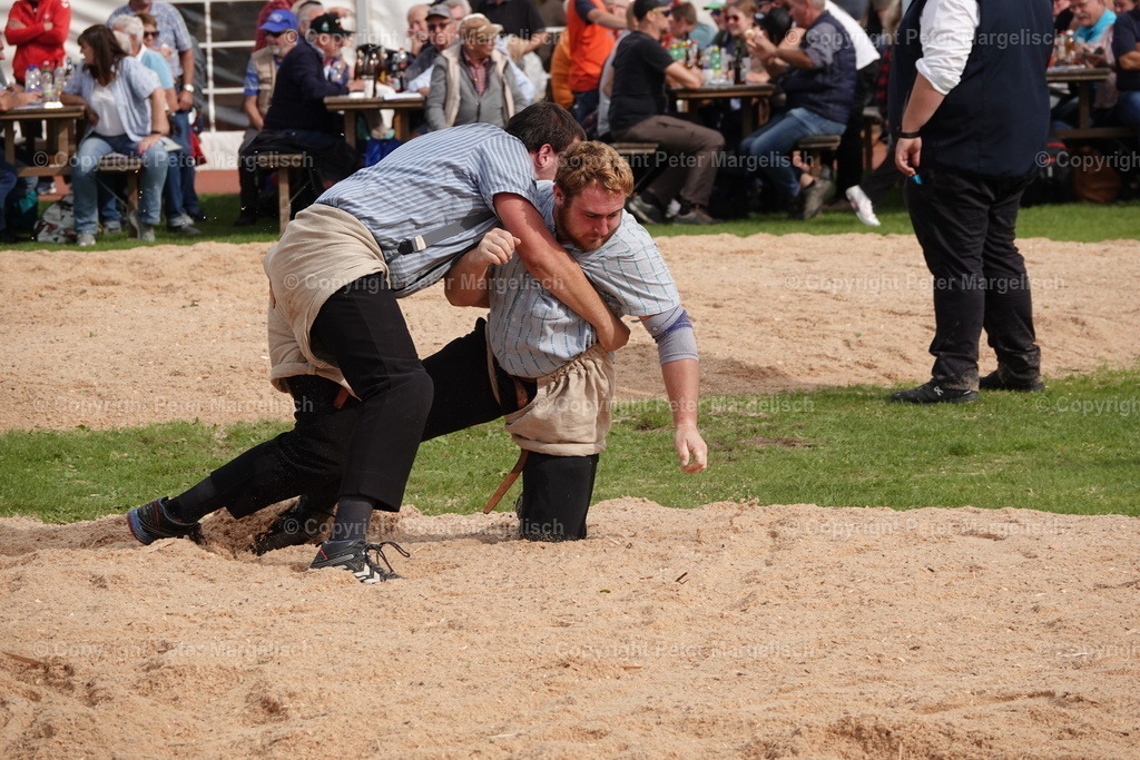 DSC08507 | Schwingen - Realisiert mit Pictrs.com