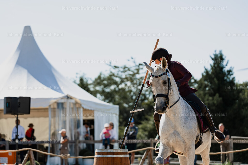 Kelly4_FHC2025-08896 | working equitationturnier fotograf videograf stoibphotography marixx film working equitation deutschland reitsport turnierfotografie eventfotografie equestrian events