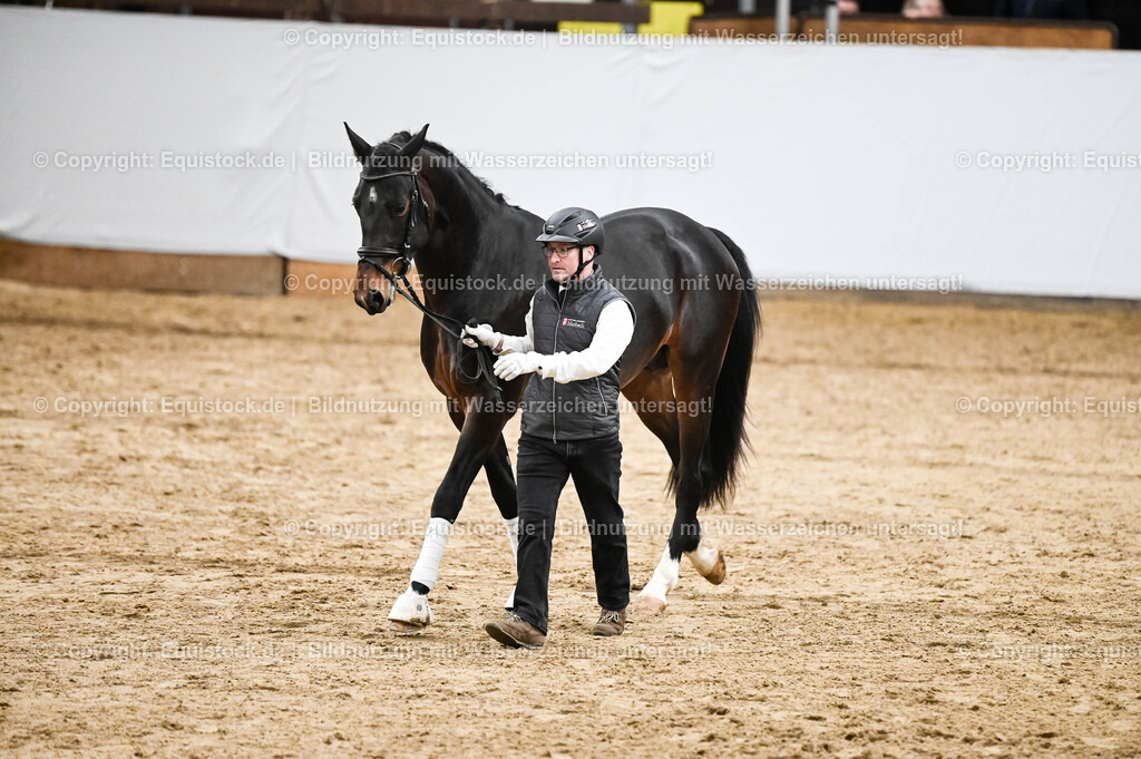 20260307_Hengstvorstellung-Marbach_0307 | equistock