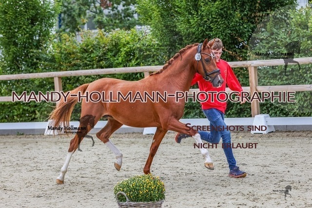 25 (23 von 28) | mandyhollmannphotographie