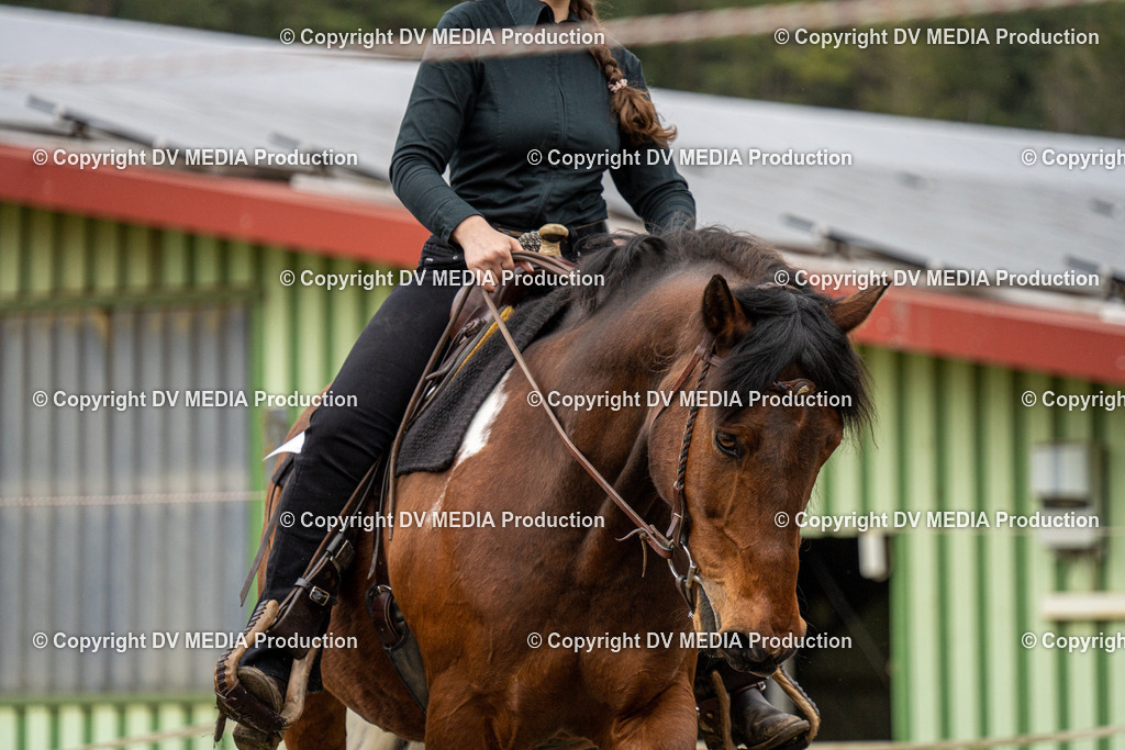 BAL00830 | dv-media-shop - Realisiert mit Pictrs.com