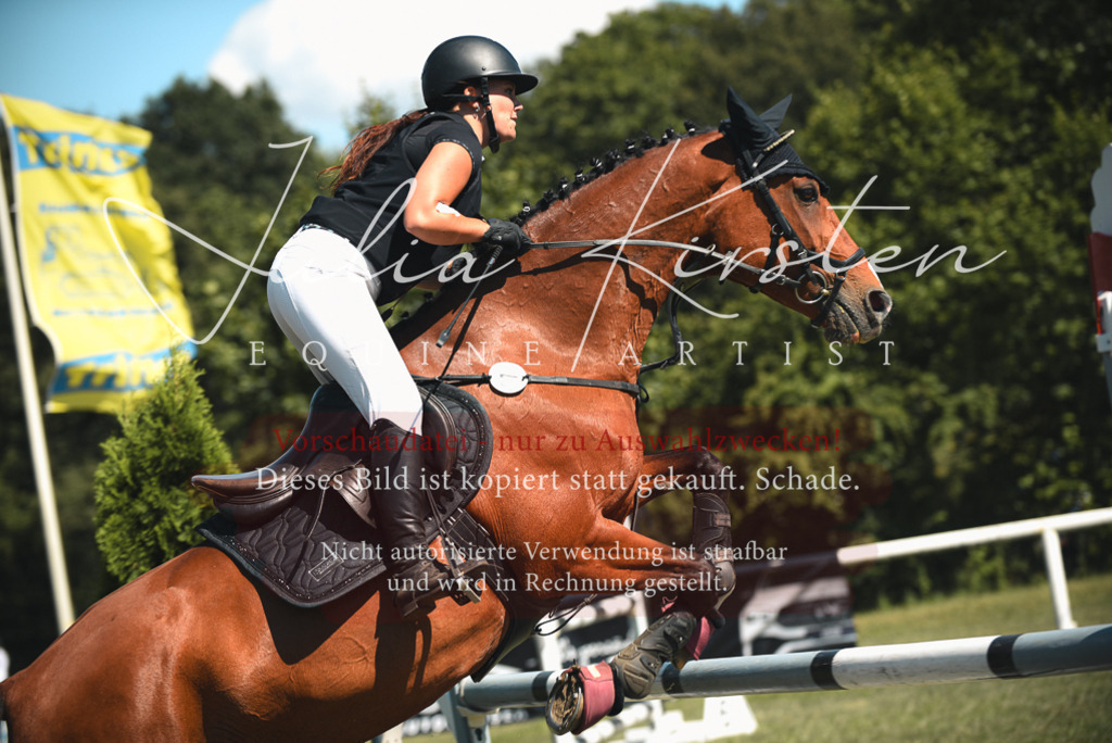 DSC_7102 | Pferde- und Turnierfotografie in Westsachsen. Pferdeportraits, Auftragszeichnungen und intuitive Kunst.