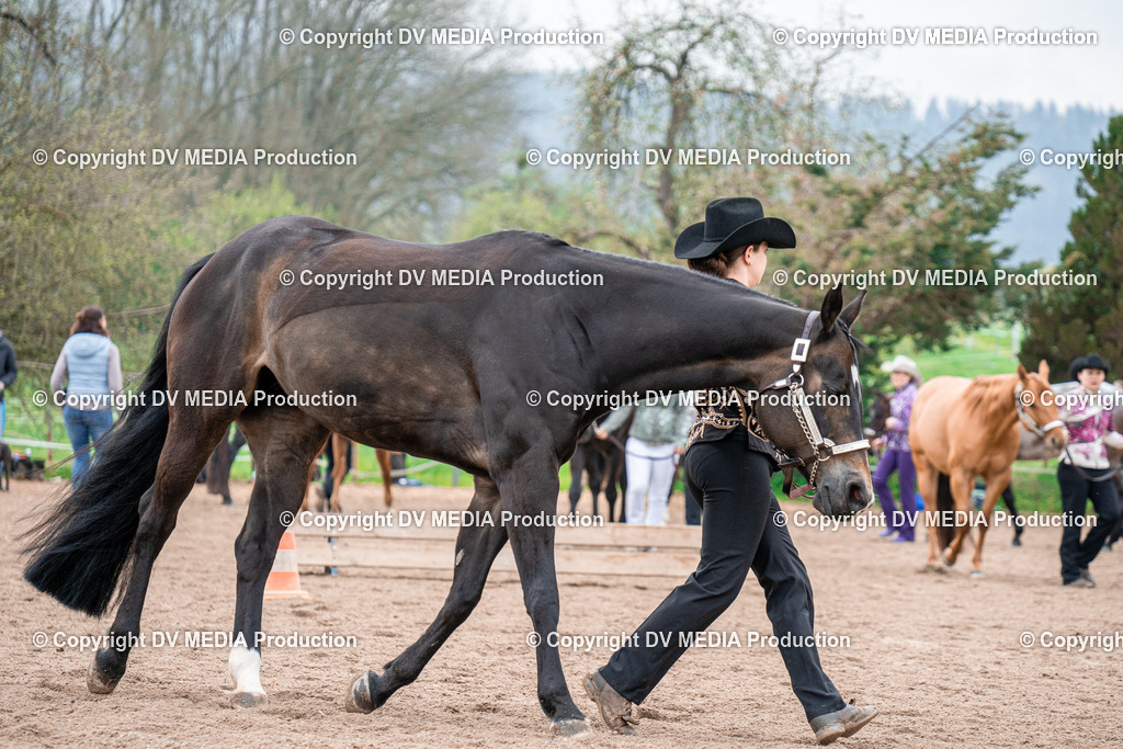 BA300202 | dv-media-shop - Realisiert mit Pictrs.com