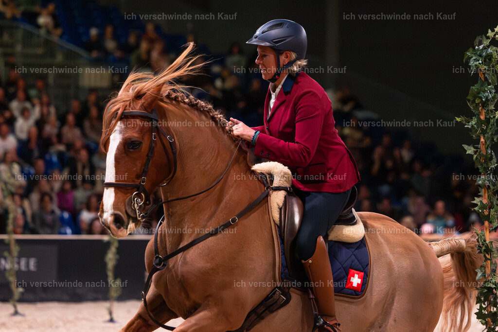 JoseraCup-149 | working equitationturnier fotograf videograf stoibphotography marixx film working equitation deutschland reitsport turnierfotografie eventfotografie equestrian events
