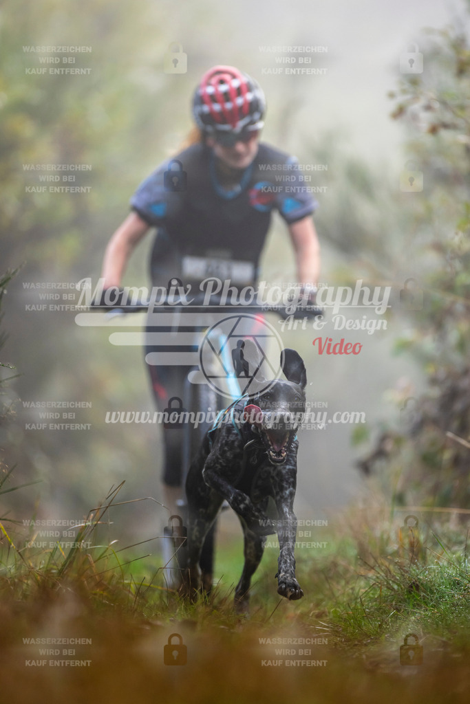 MompixPhotography_20TSB_E4_DS1-7 | PayLife