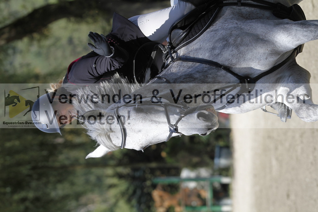 _MG_6330 | equestrian-live-com