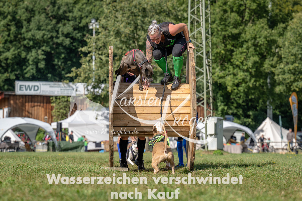 1119_ZZ94526 | kk-dogfotos