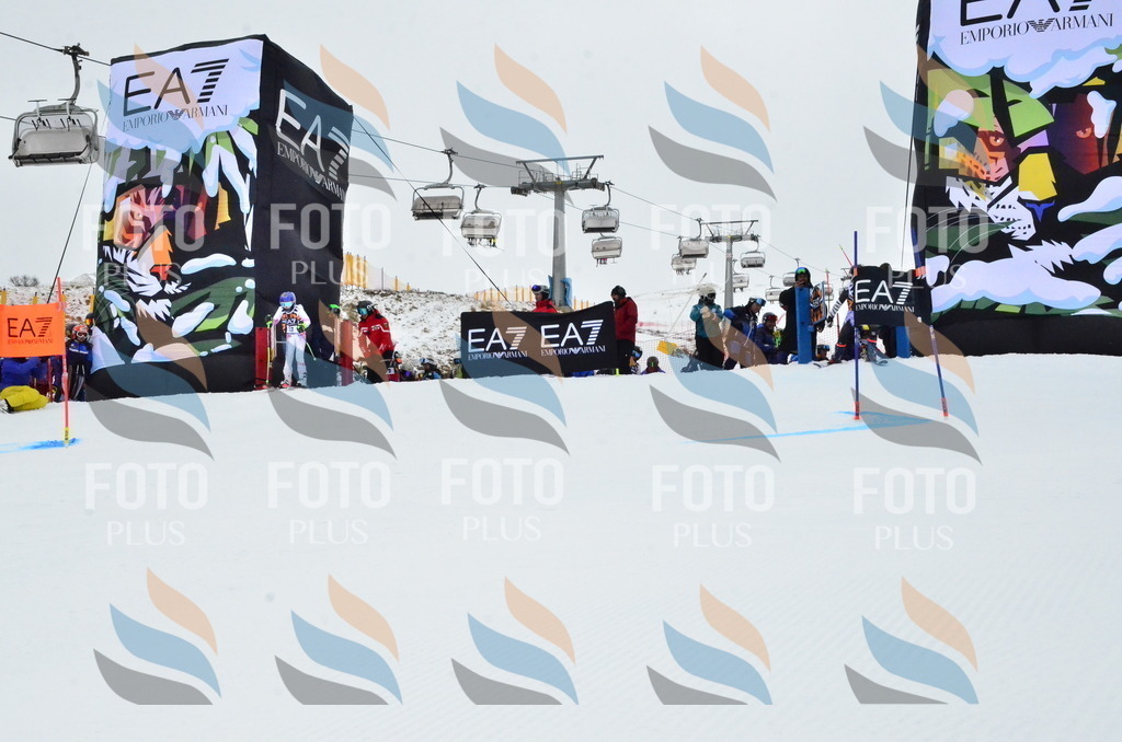 _ELE3313 | holidayphoto