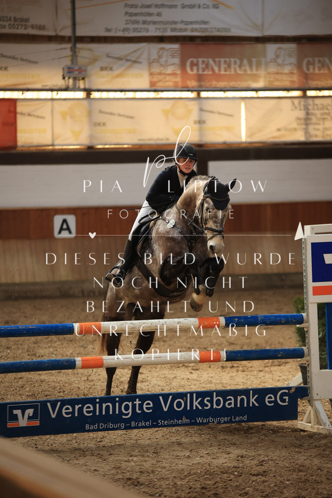 IMGT6506 | pl-fotografie