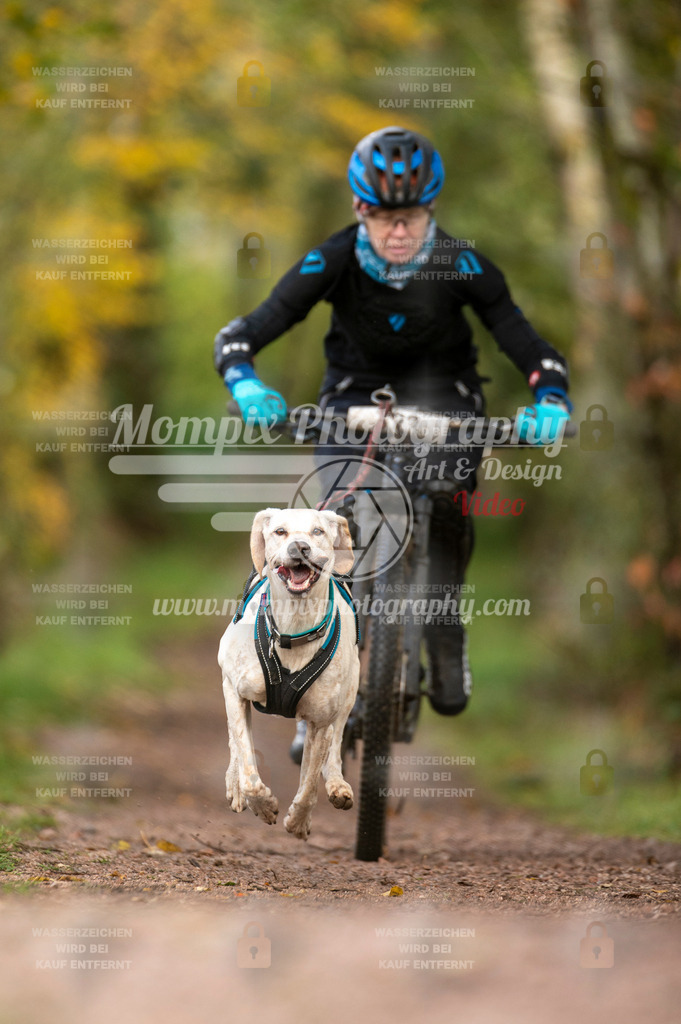 TSB_2023_E4_Bike-29 | PayLife