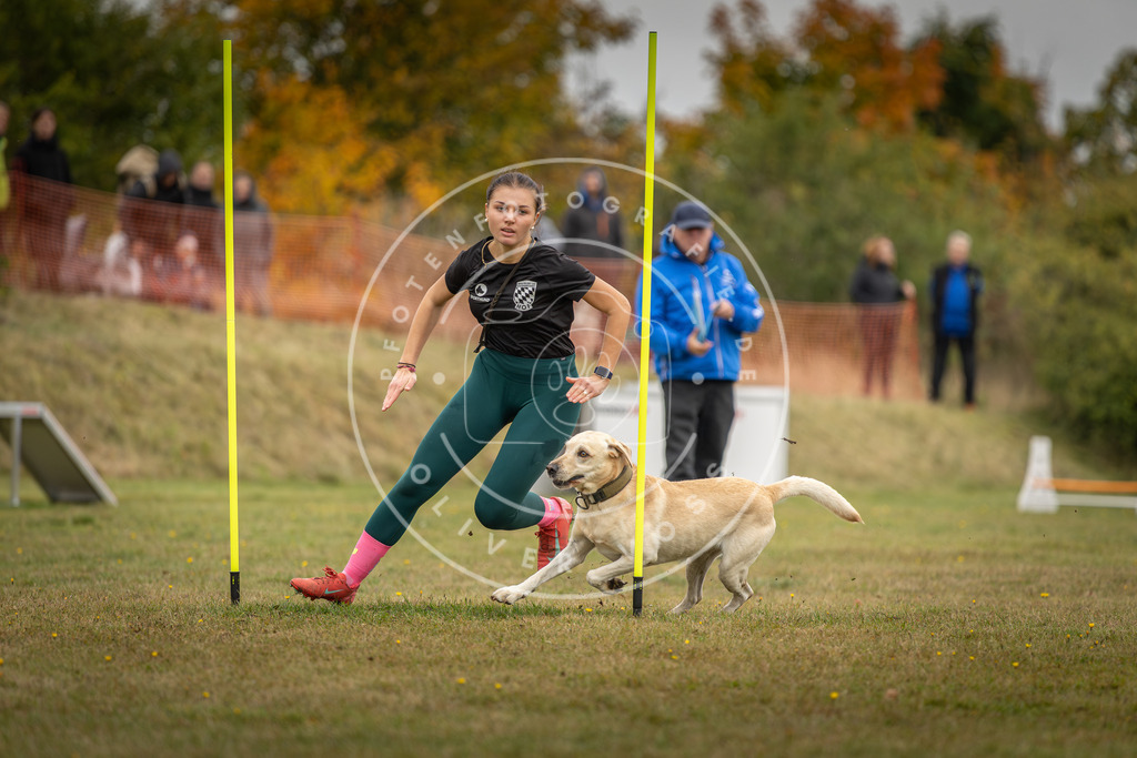 Pfotenfotografie_DV3A3837 | Hundefotografie, Tierfotograf, Pfotenfotografie, Fotoshooting Hund, Hunde Portrait, Hundesport, Hundeportraits, Heideshooting, Hunde, Sportfotograf, Hundefotograf, Turnierhundsport, THS,  - Realisiert mit Pictrs.com