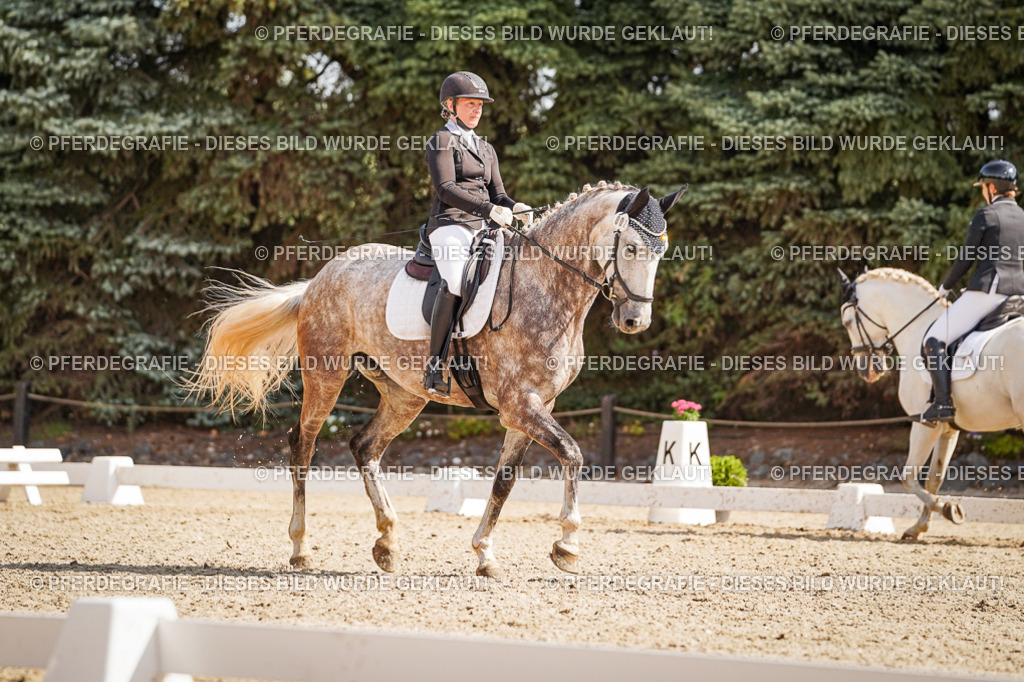 DSC01000 | Pferdegrafie