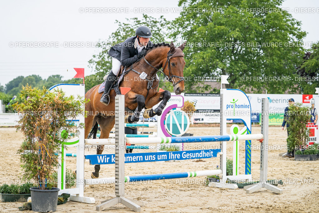 DSC00373 | Pferdegrafie