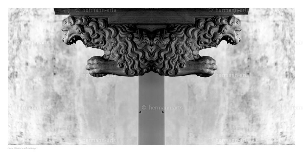 Hermann-Arts_Spiegelbilder_025 | Photo Foto Kunst Art schwarzweiss Bilder Rheine Münster Berlin Blumen 