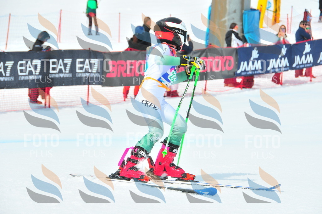 DSC_2169 | holidayphoto