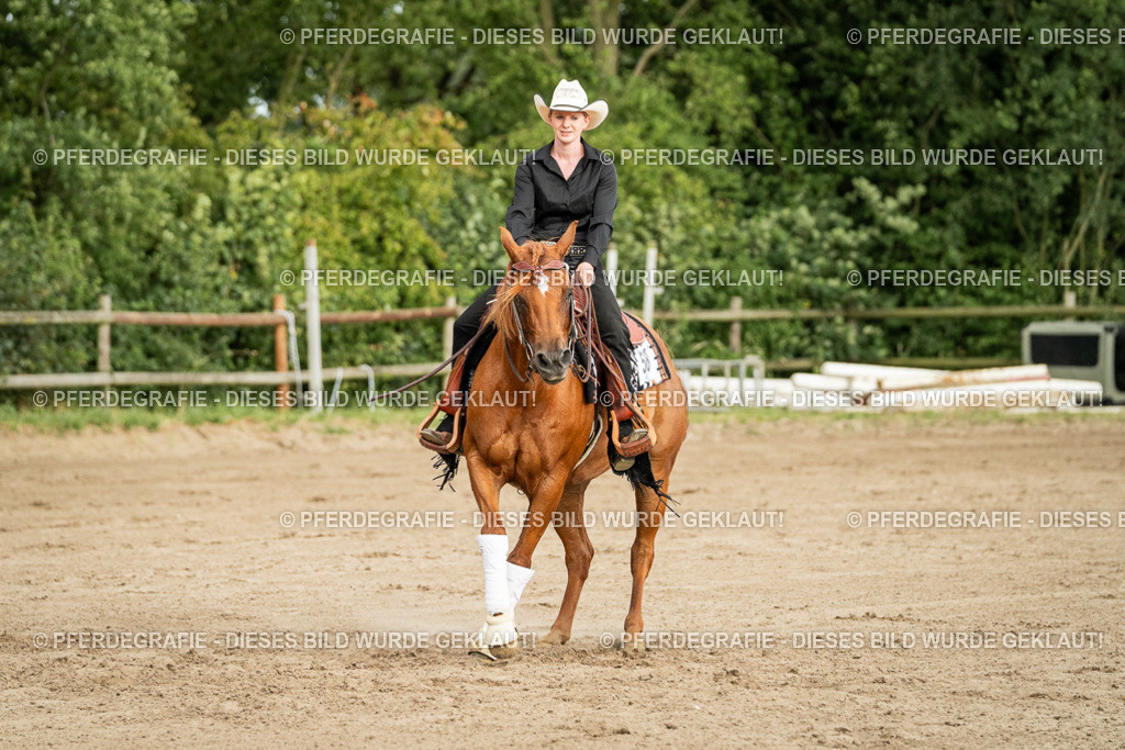 DSC05219 | Pferdegrafie