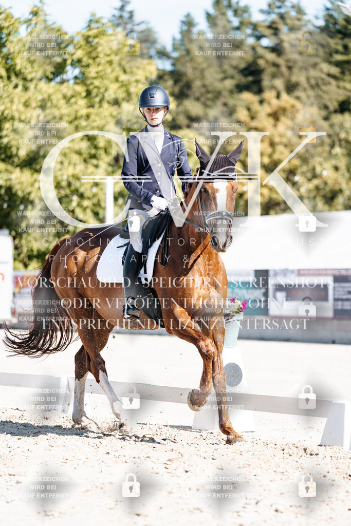 CK908485 | Turnierfotografie Pferdefotografie Trier Rheinland-Pfalz Pferdesport Reitsport Tierfotografie Sportfotografie Pferdevideo Pferdevideografie Equestrianvideography equestrianphotography  - Realisiert mit Pictrs.com