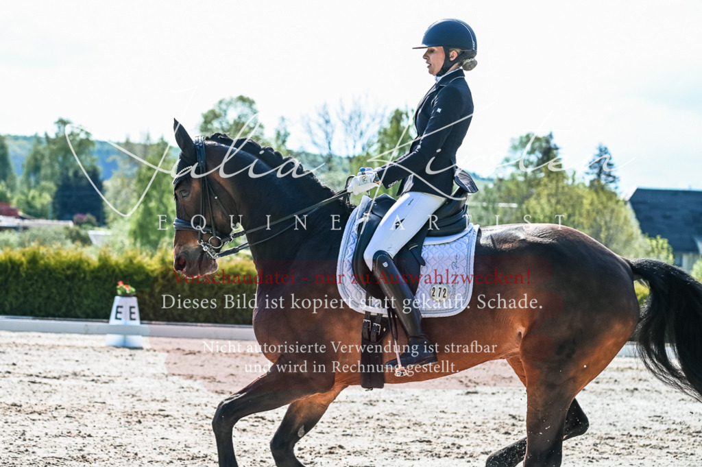20230513_JK-Röhrsdorf-10-0242 | Pferde- und Turnierfotografie in Westsachsen. Pferdeportraits, Auftragszeichnungen und intuitive Kunst.