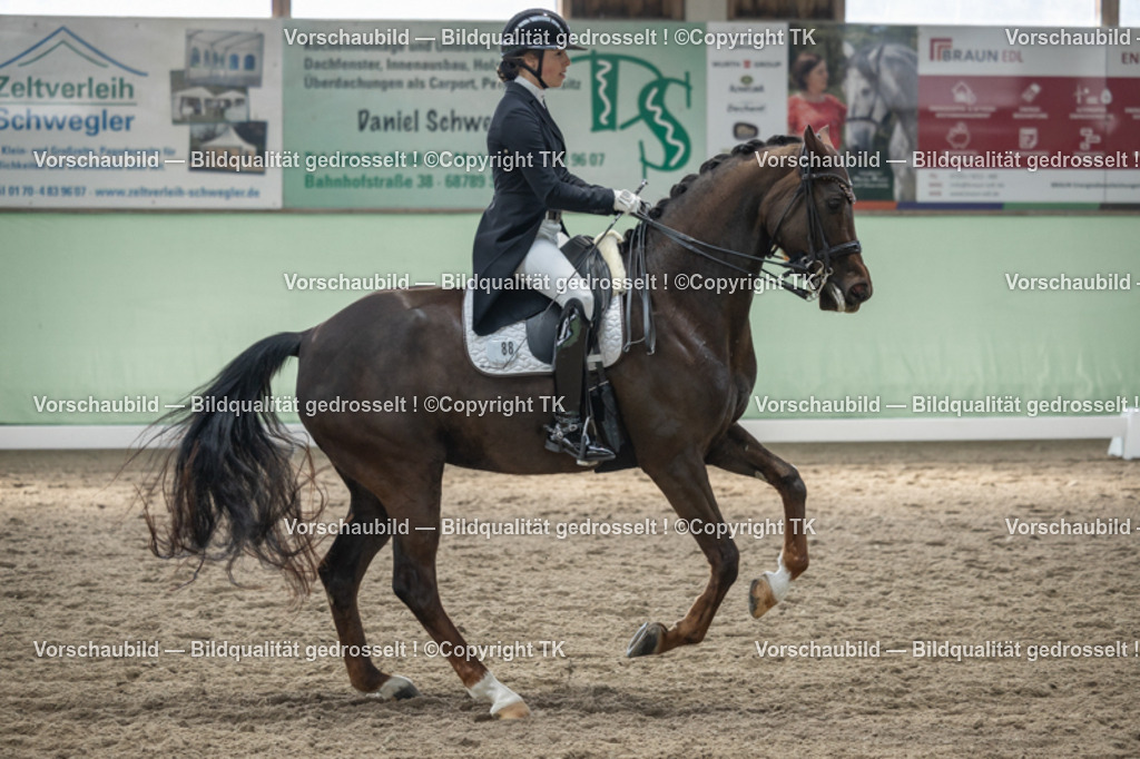 _D5A4929 | Emotionale Pferde- & People-Fotografie rund um Heidelberg, Leimen & Umgebung. Natürliche Fotos von Pferd, Mensch & Familie. Jetzt Termin sichern!