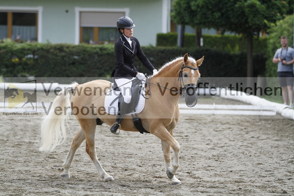 _MG_1041 | equestrian-live-com