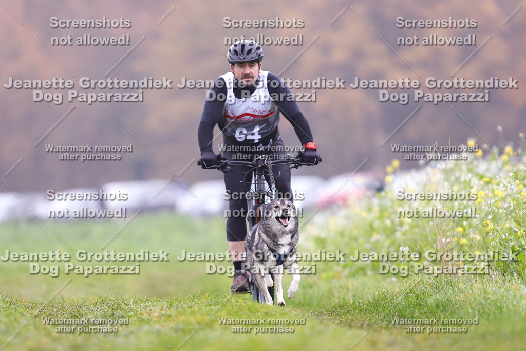 Dog Paparazzi - Visbeck 25 -188 | Dog Paparazzi Jeanette Grottendiek Fotografie & Videografie - Realisiert mit Pictrs.com