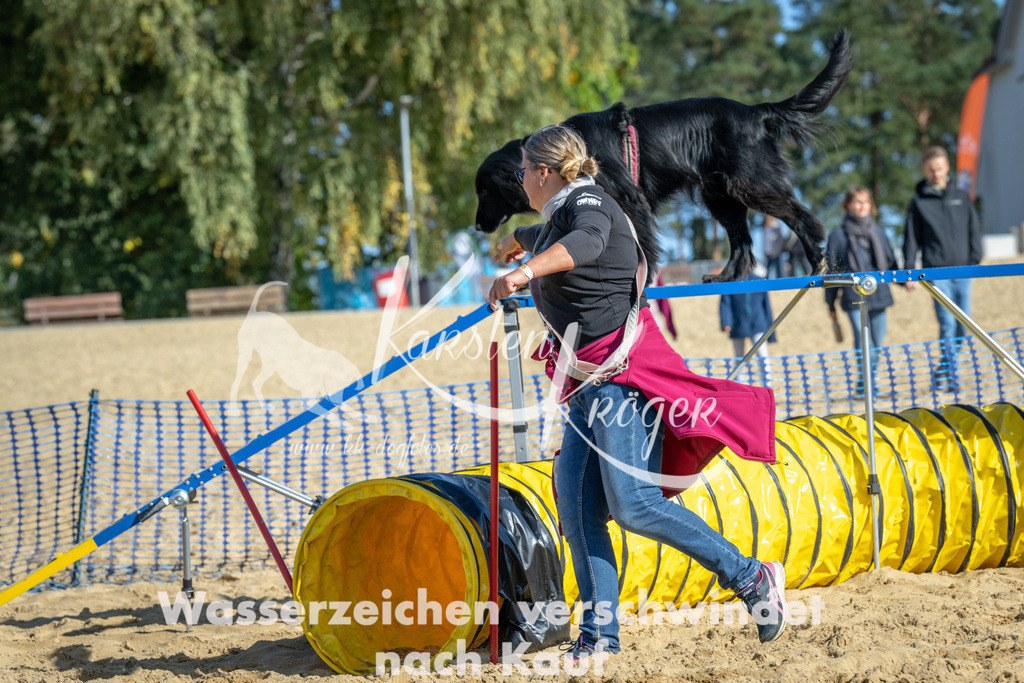 1150_ZZ92169-2 | kk-dogfotos