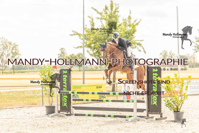26-7-23 SPR A++-845 | mandyhollmannphotographie